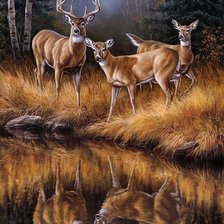 Схема вышивки «Олени»