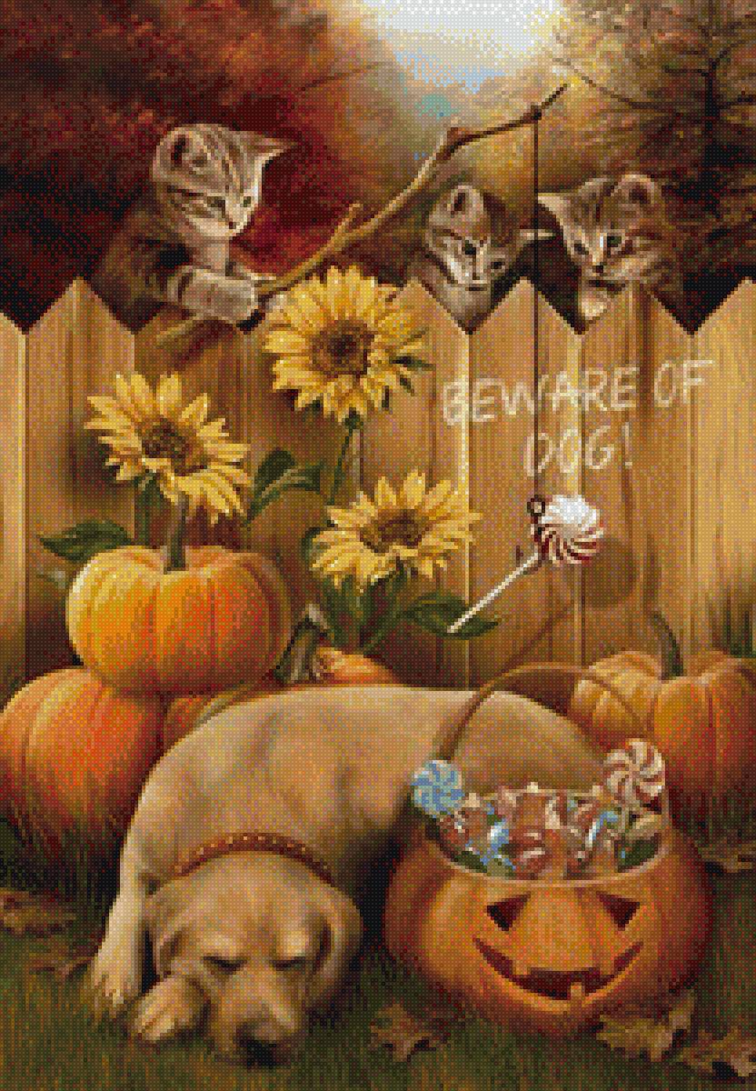 № 24 - предпросмотр