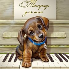 Маленький музыкант