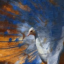 Схема вышивки «Павлин»