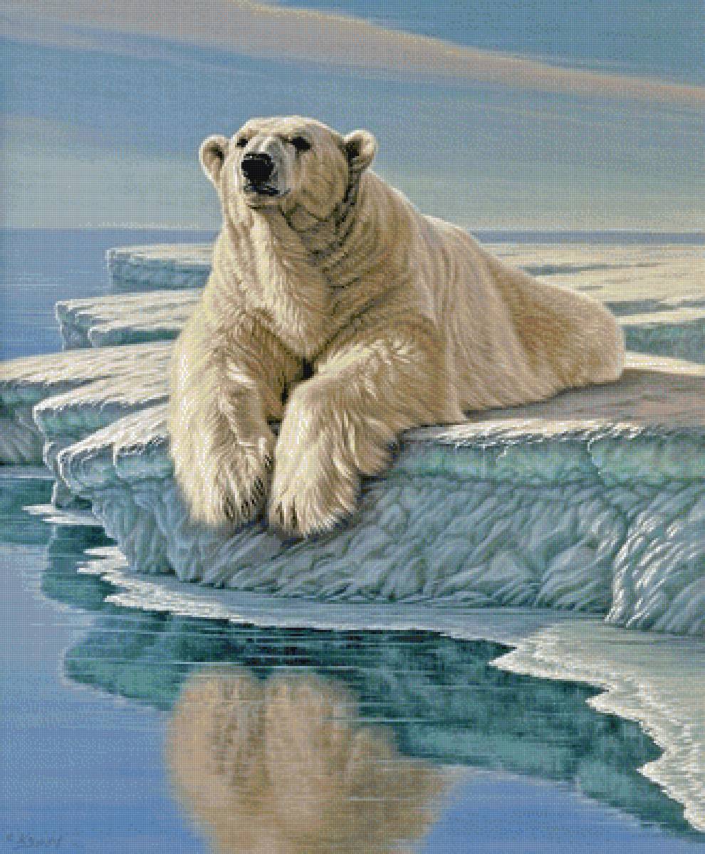 Белый медведь - предпросмотр