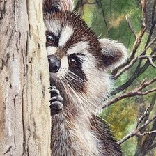 Схема вышивки «Енот»