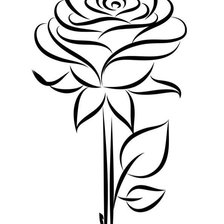 Схема вышивки «ROSA mono 2»