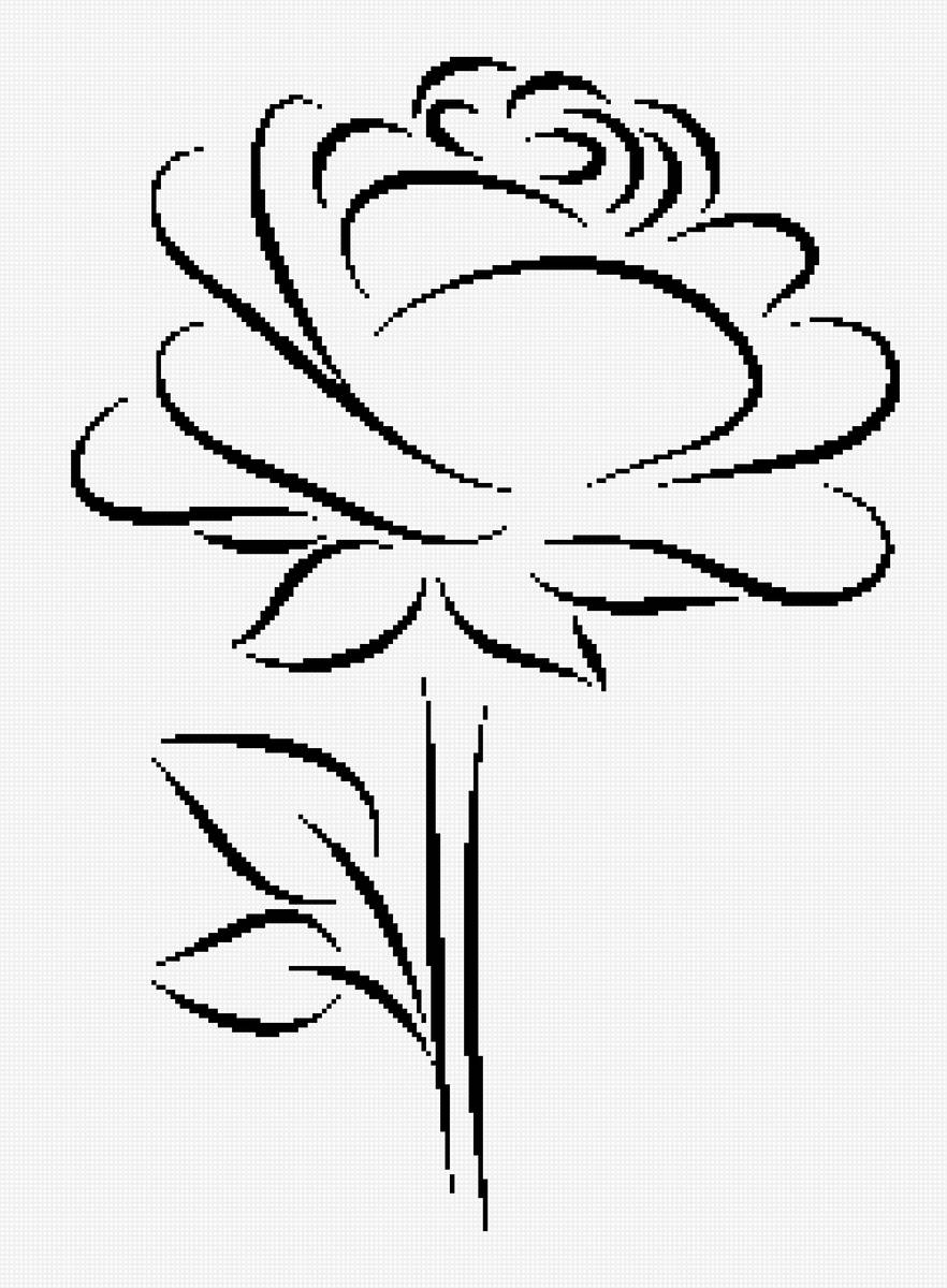 ROSA mono 3 - предпросмотр