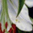 Предпросмотр схемы вышивки «№1930281»