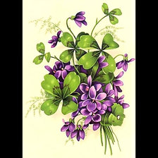 Схема вышивки «Серия "Фиалки"»