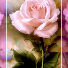 Схема вышивки «Нежный цветок»