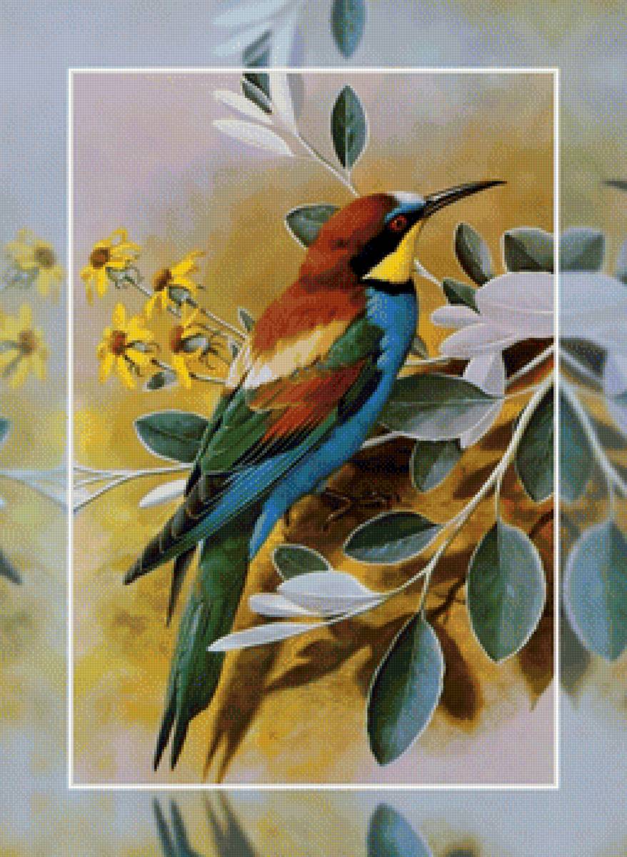 Птицы - птица ветка картина - предпросмотр