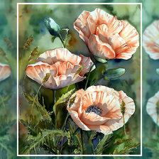 Схема вышивки «Маки»