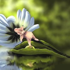 Схема вышивки «№1930690»