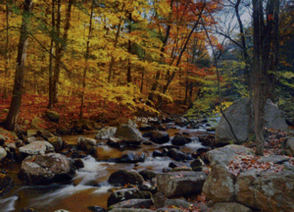 Осень в лесу - осень, лес, ручей - предпросмотр