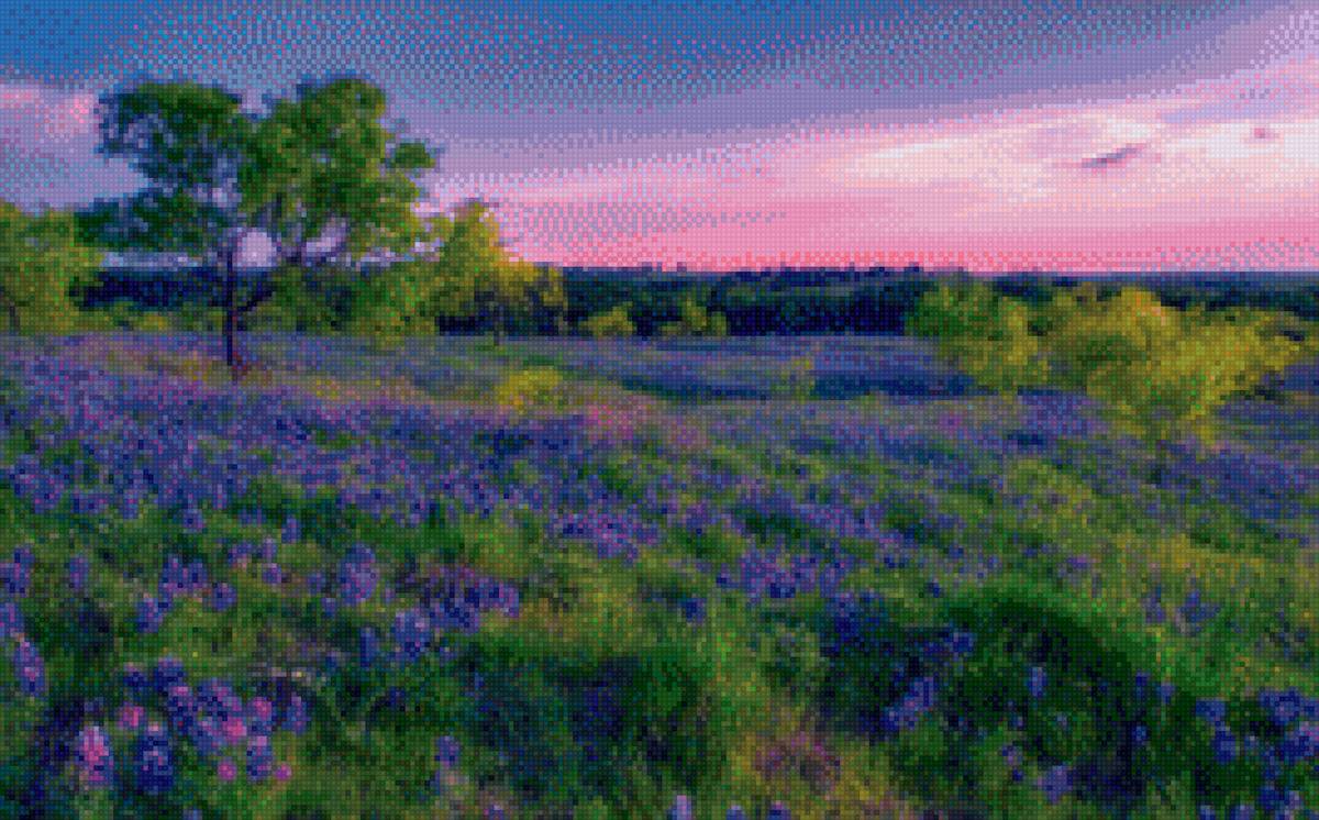 вечер - закат, природа, цветы - предпросмотр