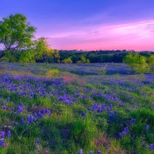 Схема вышивки «вечер»