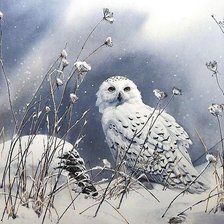 Схема вышивки «сова»