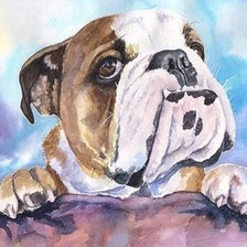 Схема вышивки «Зося»