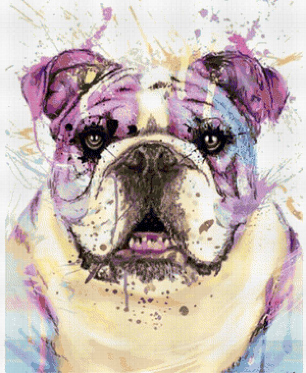 Бульдог - предпросмотр