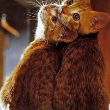 Схема вышивки «Рыжики»