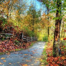 Схема вышивки «осень»