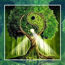 Схема вышивки «Инь - Янь»