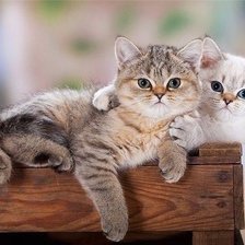 Схема вышивки «Друзья»