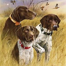 Схема вышивки «Great Hunting Dogs Germans.»