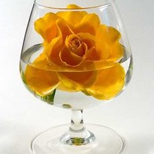 Схема вышивки «РОЗА В БОКАЛЕ»