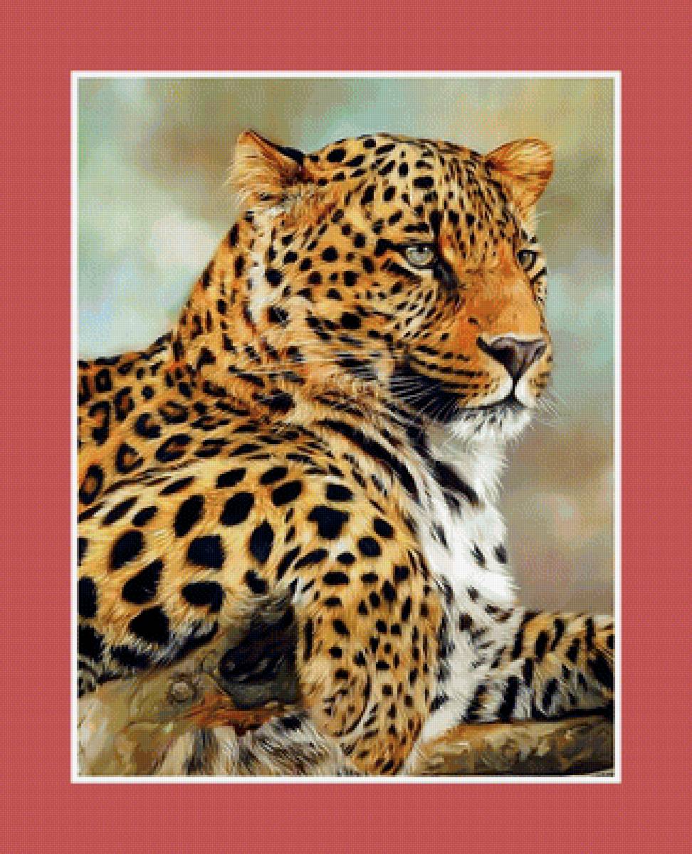 Грация леопарда - леопард хищник взгляд - предпросмотр