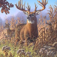 Схема вышивки «мир животных»