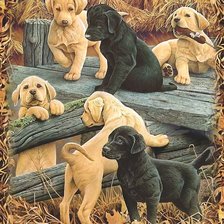 Схема вышивки «щенки»