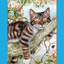 Схема вышивки «Сладкий сон»