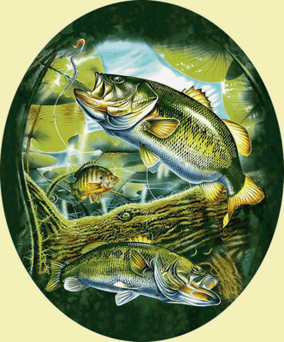 Серия "Рыбалка и охота" - рыбы, рыбалка - предпросмотр