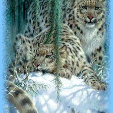 Схема вышивки «Ирбисы.»