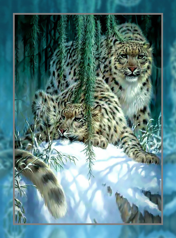 Ирбисы.2 - снежный барс снег зима ирбис - оригинал