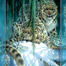 Схема вышивки «Ирбисы.2»