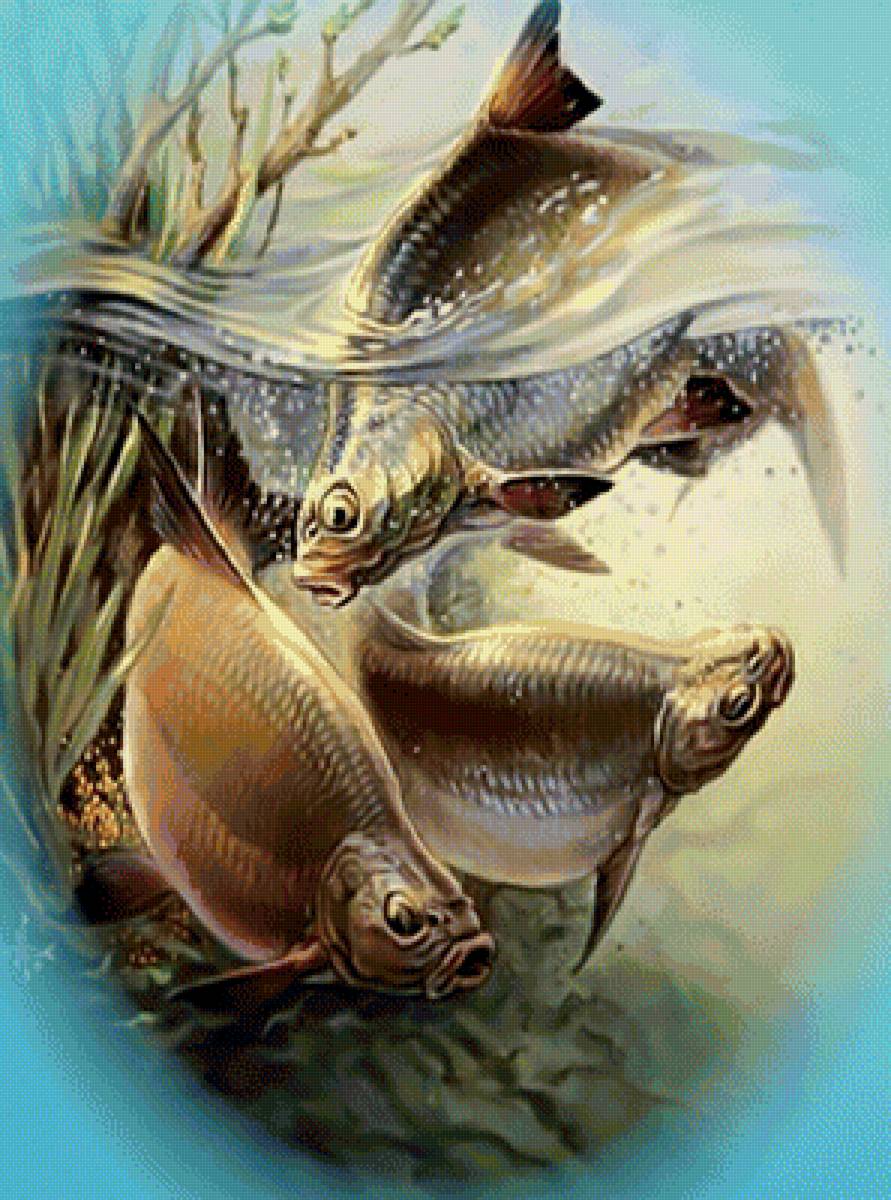 Подводная жизнь - рыбалка охота рыба под водой - предпросмотр