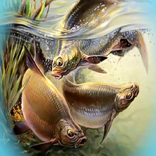 Схема вышивки «Подводная жизнь»