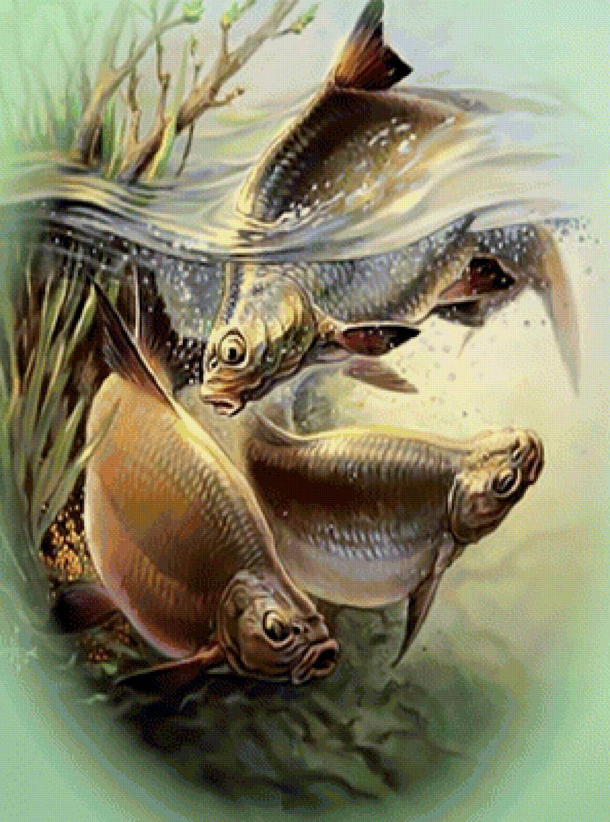 Подводная жизнь2 - рыбалка охота рыба под водой - предпросмотр