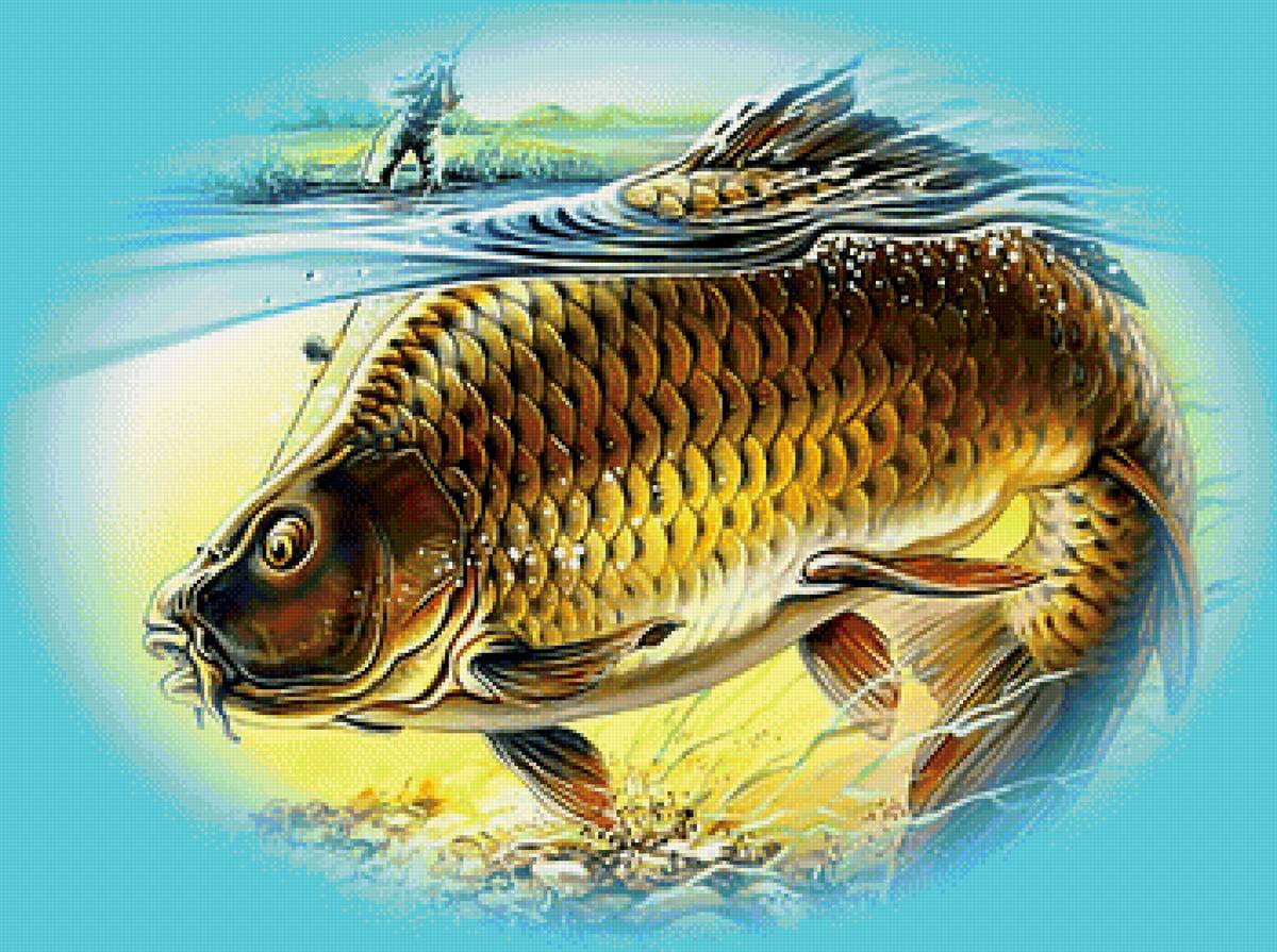 Рыбалка2 - рыбалка охота рыба под водой - предпросмотр