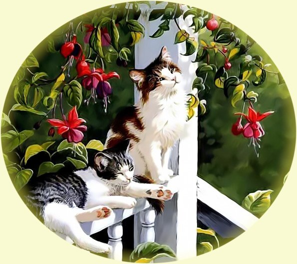 Котики на солнышке - коты лето солнце природа цветы - оригинал