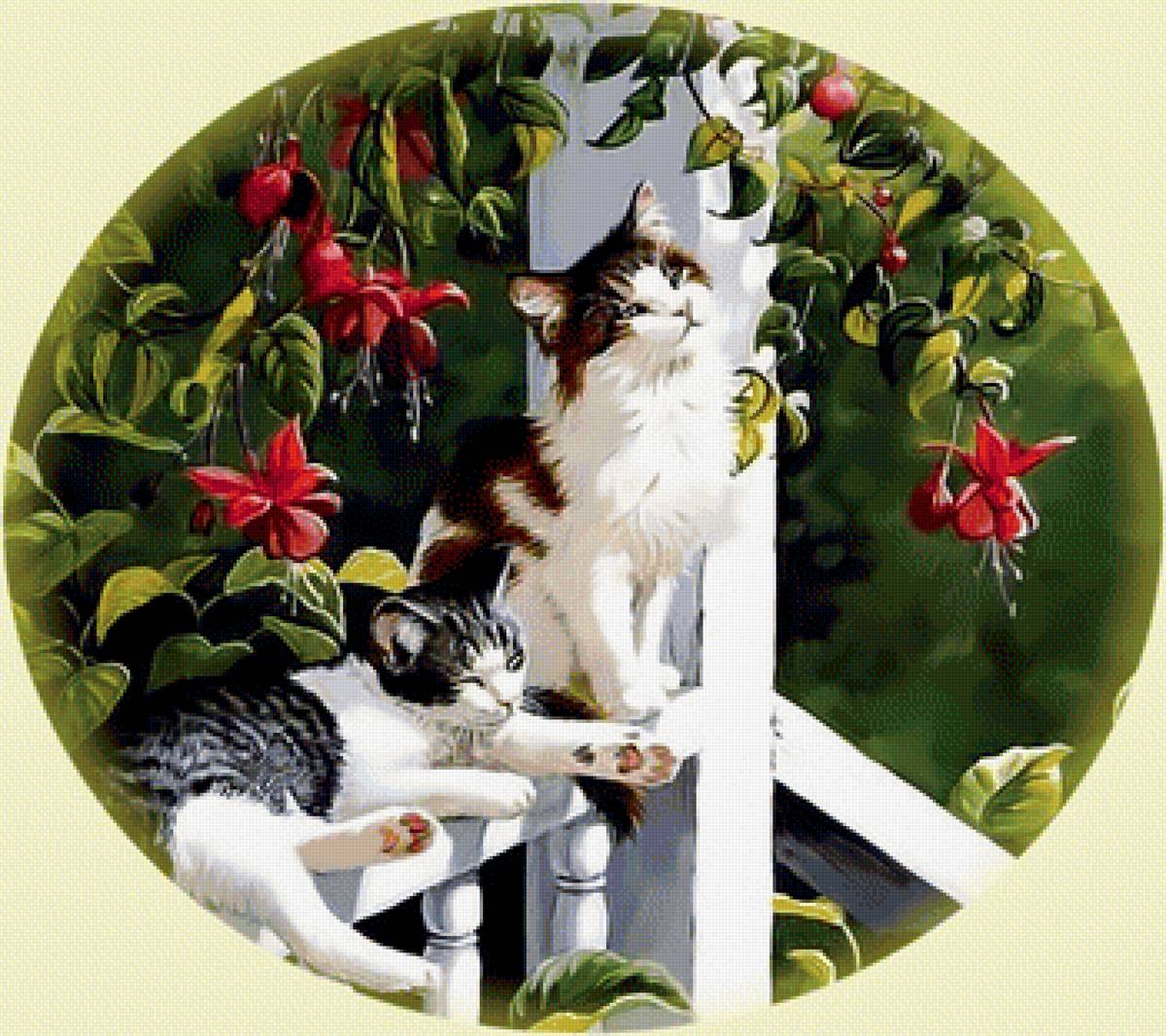 Котики на солнышке - коты лето солнце природа цветы - предпросмотр