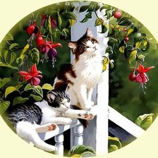 Схема вышивки «Котики на солнышке»