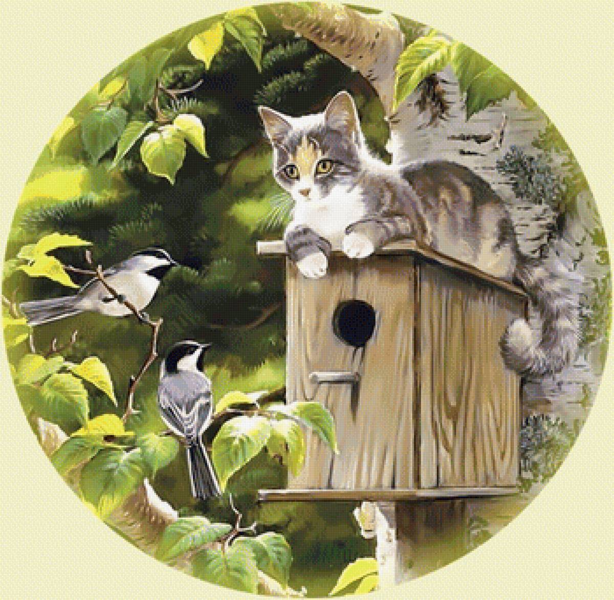 Коты прилетели. - весна природа кот птицы скворечник - предпросмотр