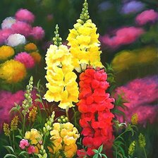 Схема вышивки «№1932410»