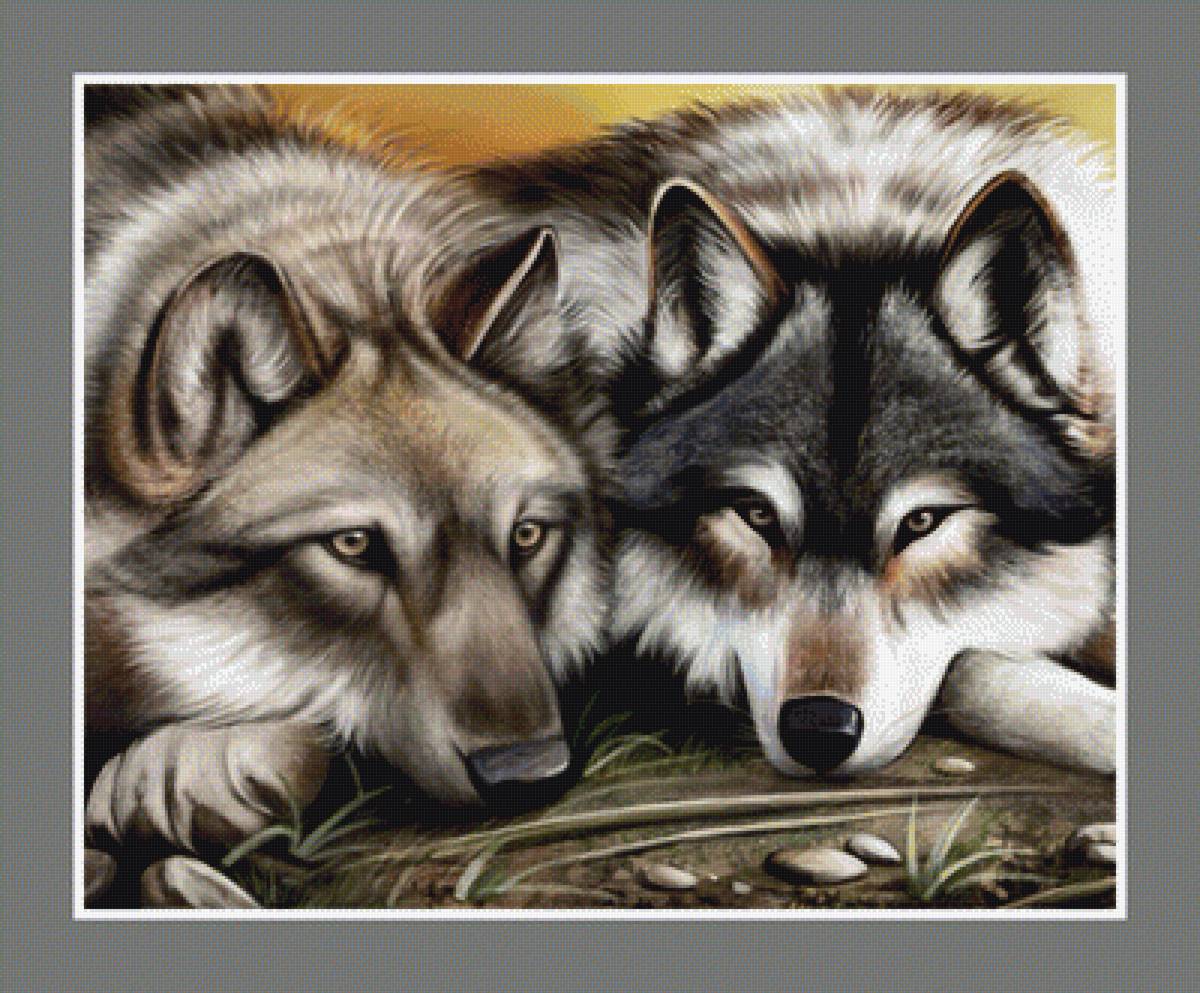 №1932438 - хищники, животные, волки - предпросмотр