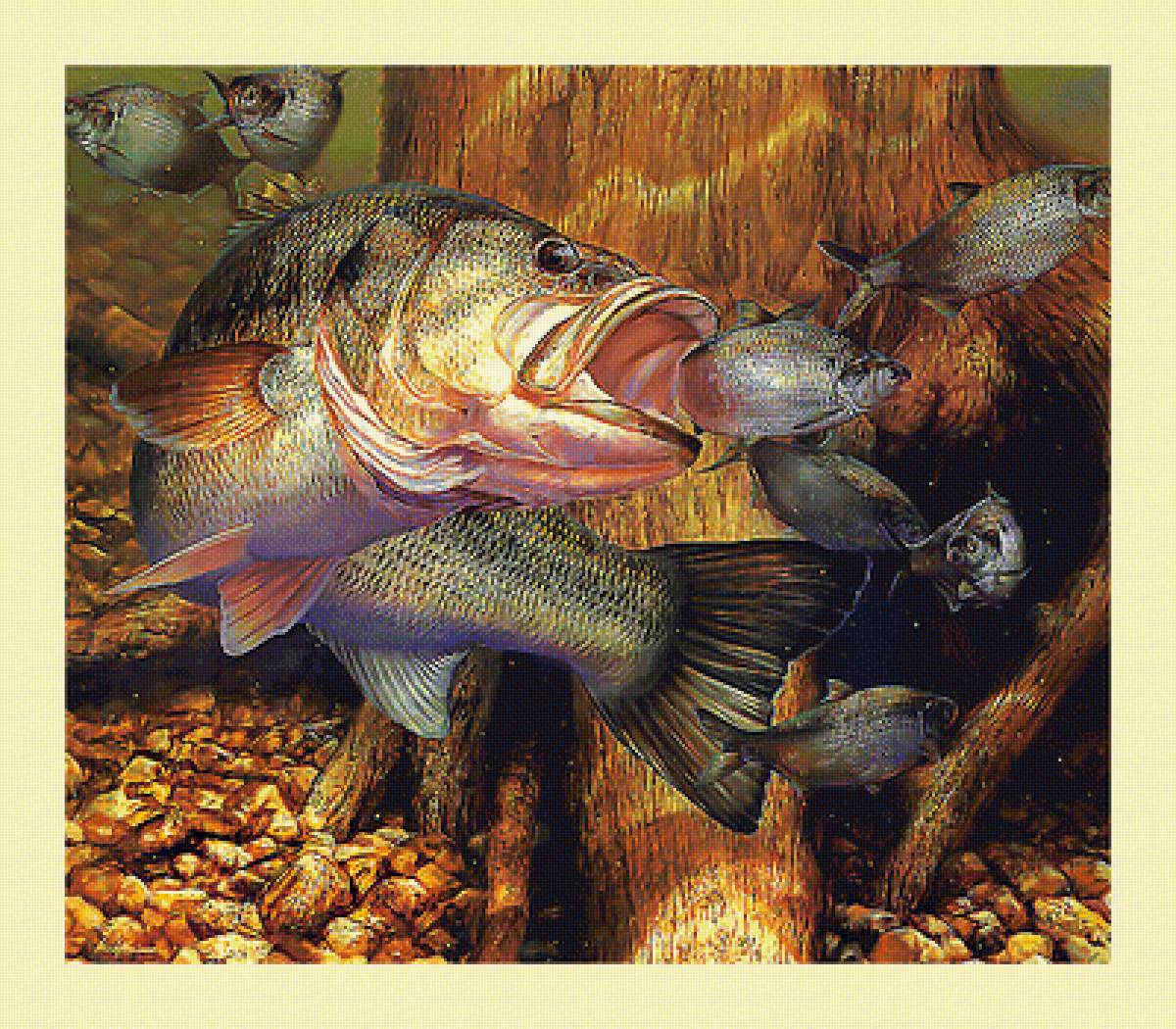 Серия "Рыбалка и охота" - рыбы, рыбалка - предпросмотр