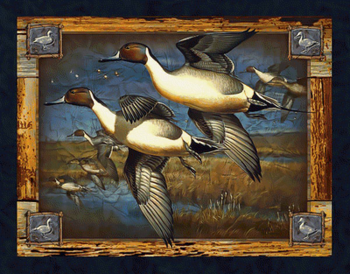 Летят утки... - утки птицы озеро - предпросмотр