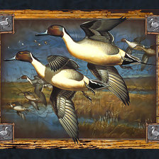 Схема вышивки «Летят утки...»