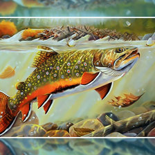 Схема вышивки «Рыбалка 4»