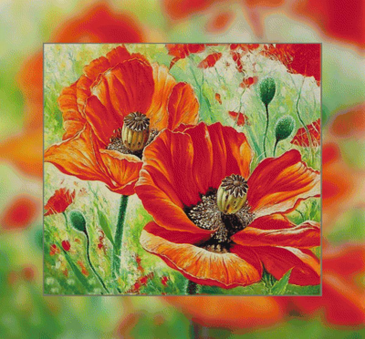 №1932734 - маки, цветы, натюрморт, букеты - предпросмотр