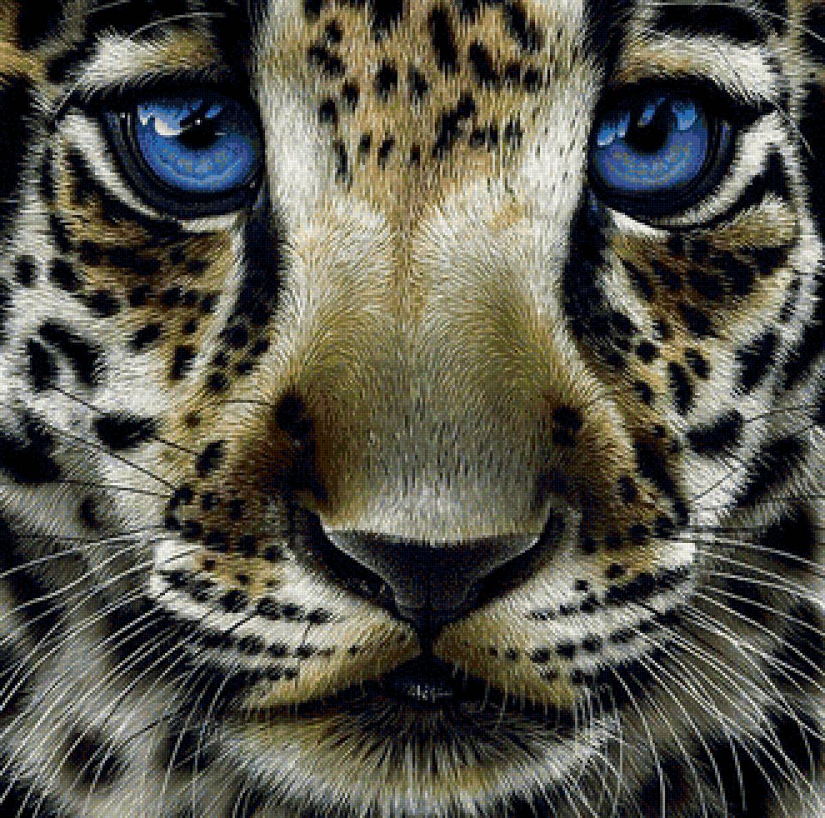 дикие - предпросмотр